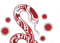 Знаки Зодиака: Петух и Змея - совместимость на долгие годы
